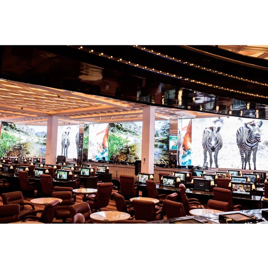 IWA - 219 WITH 1.2MM UHD 6X6 view 13