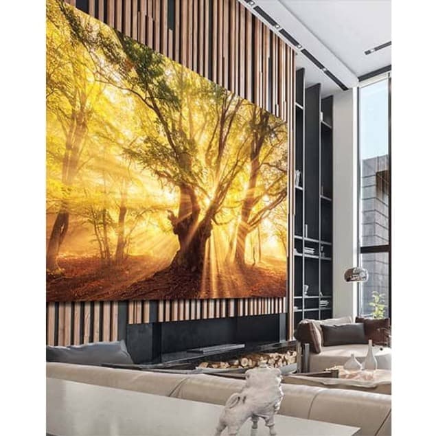 IWA - 219 WITH 1.2MM UHD 6X6 view 5