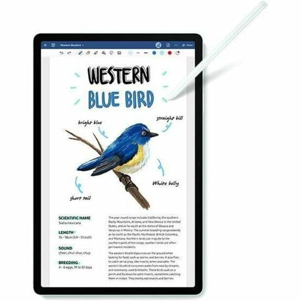 Samsung Galaxy Tab S9 FE 128GB Mint business tablet with 10.9-inch display