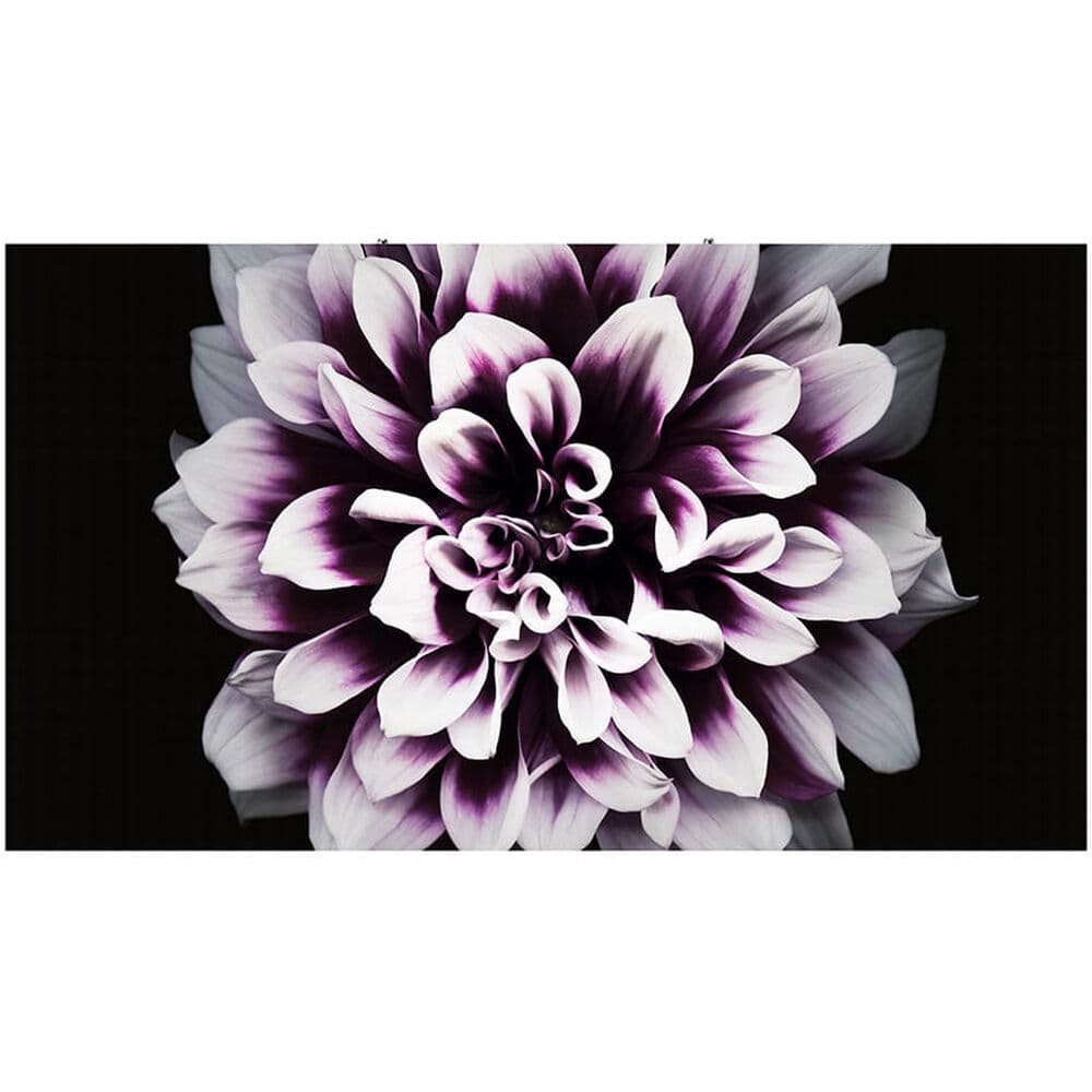 THE WALL PROFESSIONAL (P1.2) view 1